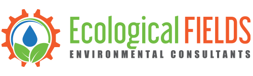 Ecological Fields –